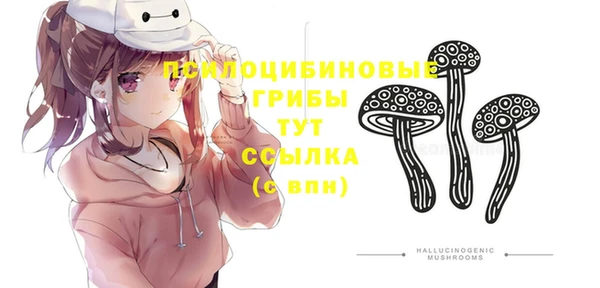 хмурый Нязепетровск