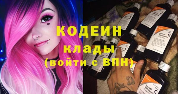 винт Няндома