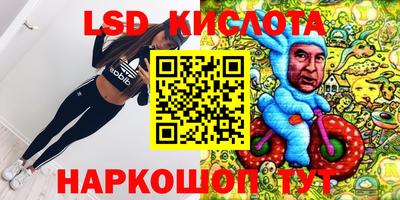 стафф Волгодонск
