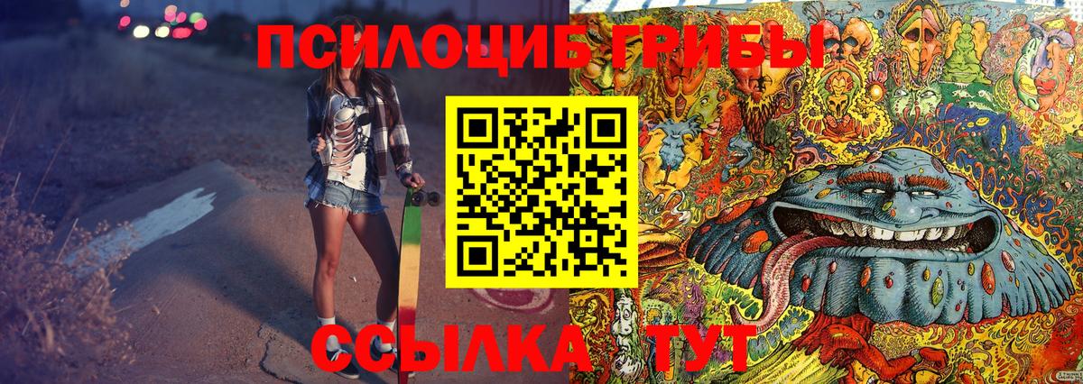 Галлюциногенные грибы GOLDEN TEACHER  Кимры  закладка  Псилоцибиновые грибы Psilocybine cubensis 