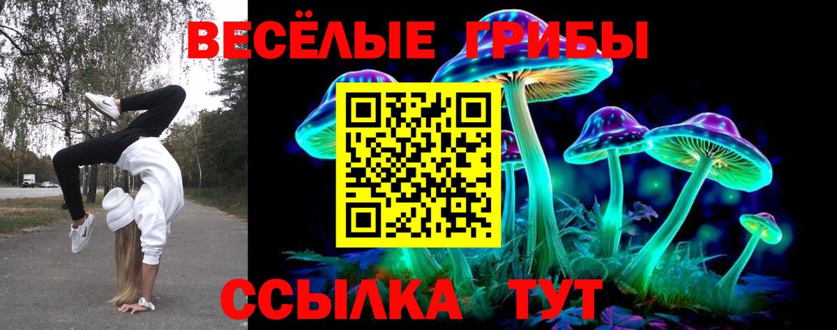 Галлюциногенные грибы MAGIC MUSHROOMS Кимры