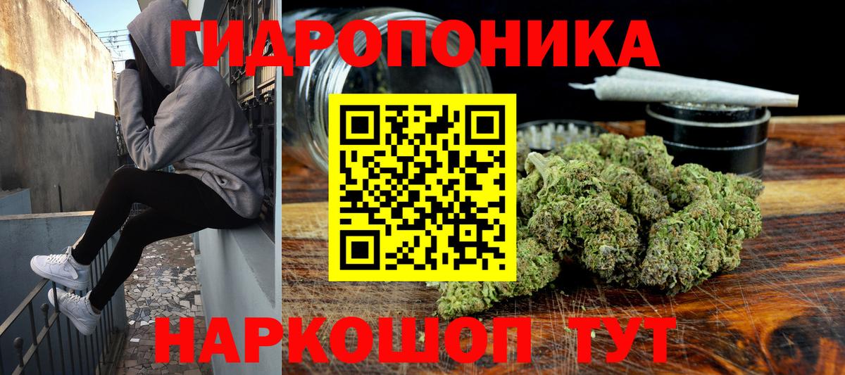 Шишки марихуана индика Кимры